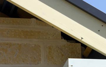 soffit repair Bosham Hoe